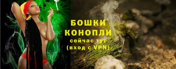 ГАЛЛЮЦИНОГЕННЫЕ ГРИБЫ Балабаново