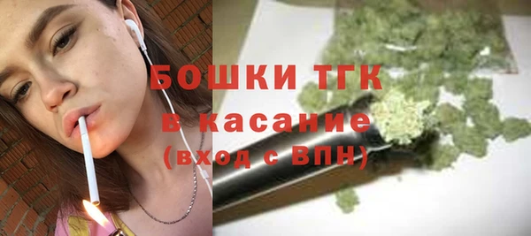 дживик Переславль-Залесский