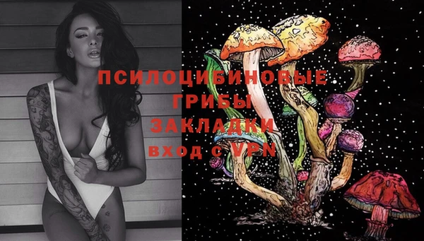 spice Балахна