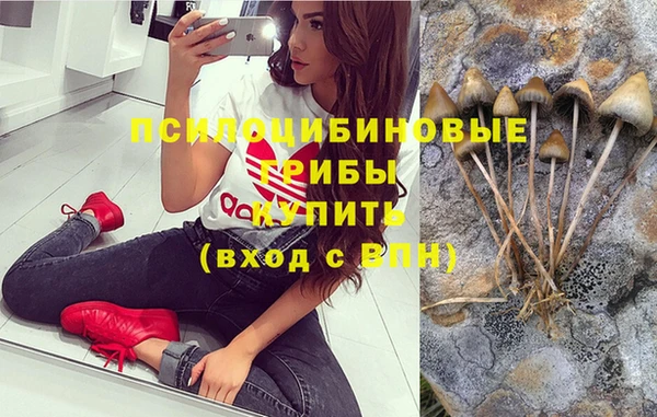 spice Балахна